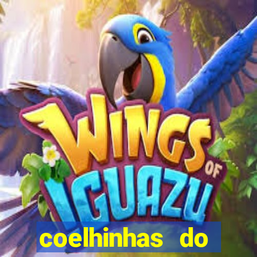 coelhinhas do brasil site